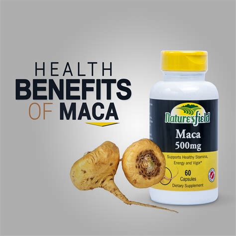 Health Benefits Of Maca Nature S Field Online Pharmacy
