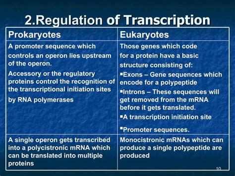 Regulation Of Gene Expression In Eukaryotes Ppt