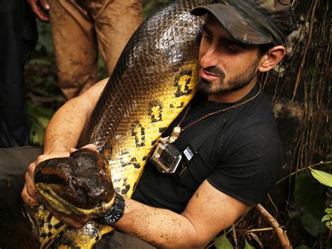 Anaconda Man Interview What It S Actually Like To Nearly Get Eaten