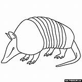 Armadillo Coloring Pages Rainforest Animals Jungle Color Armadillos Online Thecolor Choose Board Sheets Kids Gif sketch template