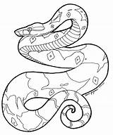 Boa Constrictor Snakes Getdrawings sketch template