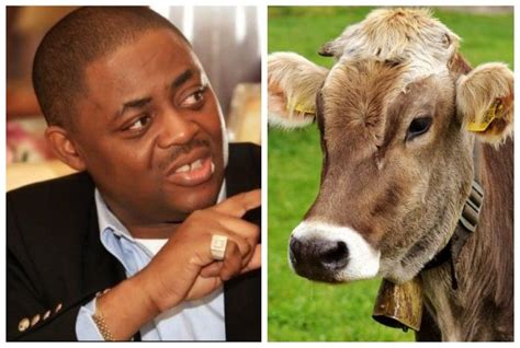 true hausas do have sex with their cows fani kayode makes shocking