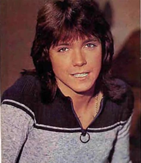 pin by emmie on david cassidy david cassidy shirley