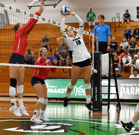 blinn assistant volleyball coach named ncaa woman of the