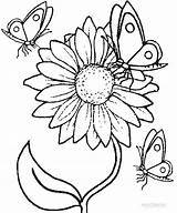 Coloring Pages Sunflower Kids Printable Summer Flower Plant Sunflowers sketch template