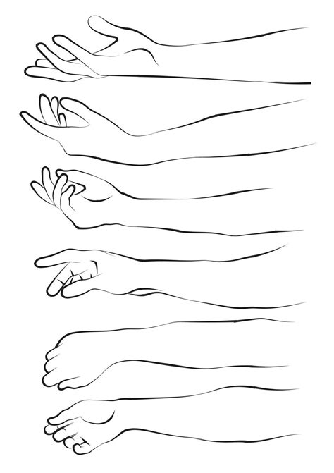hand  arm sketch  drawing black  white  vector art