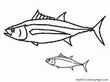 Fish Coloring Pages Tropical Realistic Tuna Kids Delicious sketch template