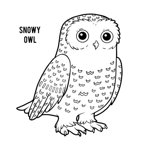 premium vector coloring book snowy owl