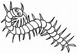 Coloring Centipede sketch template