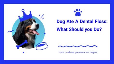 dog ate  dental floss heres     powerpoint
