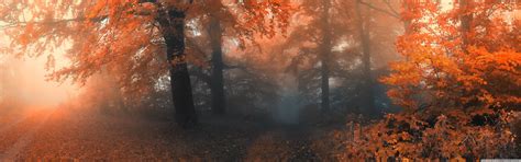 Fall Dual Monitor Wallpaper Fall And Winter Events In Marquette Pure