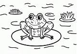Frog Pond sketch template