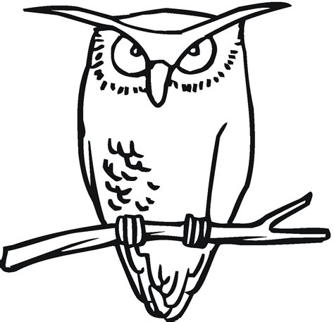 gambar owl coloring pages preschoolers kids  printable mewarnai