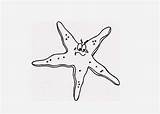 Starfish Coloring Concentrated Outline Tattoo Eyes Cartoon Tattooimages Biz sketch template