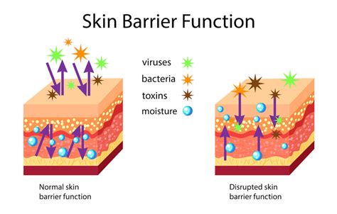 moisture barrier compromised oxygenetix