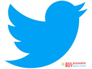 buy twitter accounts verified twitter accounts  sale