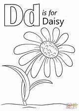 Daisy Coloring Letter Pages Drawing Printable Outline Flower Supercoloring Getdrawings sketch template