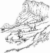 Coloring Pages Landscape Mountain Goats Printable Goat Adult Mountains Rocky Adults Scenery Realistic Coupons Detailed Coloring4free Two Animal Work Color sketch template