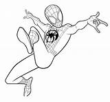 Spider Verse Coloring Man Pages Into Morales Printable Print sketch template