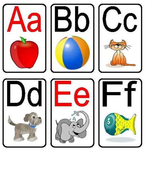 alphabet  pictures  animals  letters