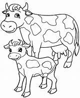 Cow Coloring Cows Color Kids Sheet Adult Portrait Print Animals Young sketch template