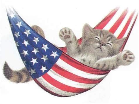 fourth  july cute animals    july images  pinterest