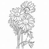 Kleurplaat Madeliefjes Kleurplaten Ruiker Bloem Leukvoorkids sketch template