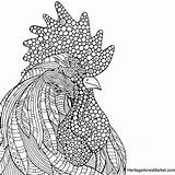 Coloring Rooster Pages Thank Please Cpr Printable Print Getcolorings Getdrawings Color Chickens Choose Board Pag sketch template