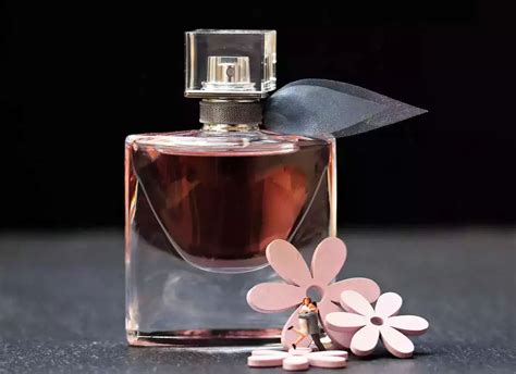 choose  perfect womens perfume   occasion ecolumn
