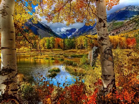 amazing autumn view    wallpaper