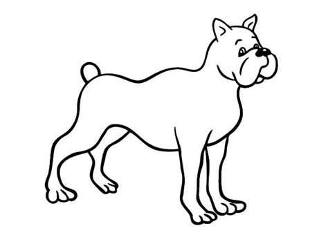 drawing boxer dog coloring pages  place  color dog coloring