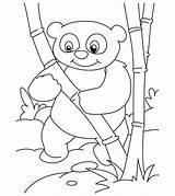 Panda Coloring Bamboo Pages Coloringbay sketch template