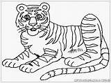 Harimau Mewarnai Tiger Kartun Lucu Mewarnaigambar Lengkap Baca Bila Fakta Ingin Memperoleh Mencari Silahkan Disitu Juga Getcolorings Critically Endangered sketch template