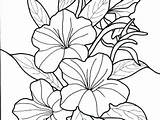 Coloring Pages Tropical Flower Flowers Getdrawings Rainforest sketch template