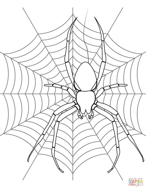 halloween spider drawing  getdrawings