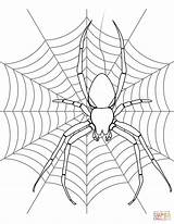 Spider Coloring Web Halloween Pages Drawing Kids Its Spiders Printable Webs Color Colouring Print Template Getdrawings Getcolorings Top Paper sketch template