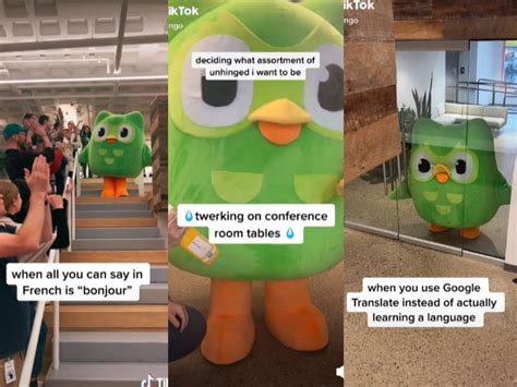 Duolingo’s Mascot Becomes Tiktok Icon By Twerking On