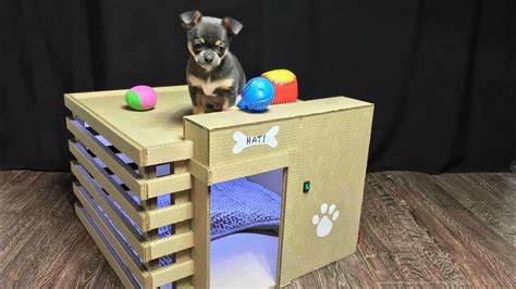 awesome cute pets    amazing puppy dog house  cardboard