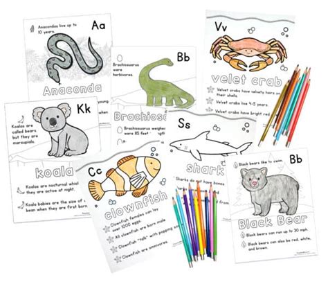 coloring pages  animals   habitats home design ideas