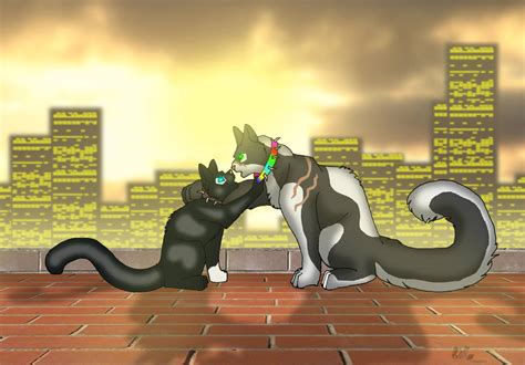 Scourge And Bone Romantic Kiss By Suited Wolf On Deviantart