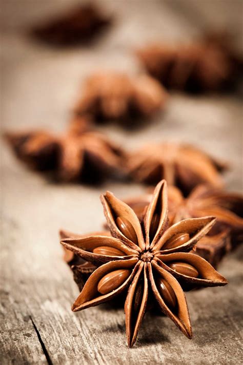 star anise substitute izzycooking