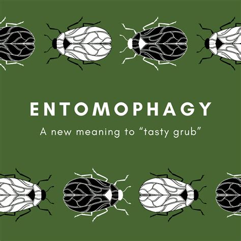 entomophagy   meaning  tasty grub grounded grub