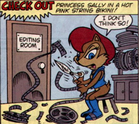 uh sally sonic the hedgehog know your meme