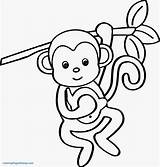 Coloring Monkey Spider Pages Getcolorings Monkeys Printable sketch template