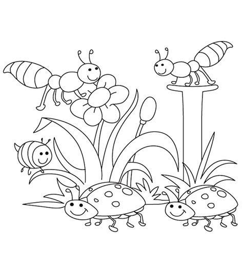 spring kindergarten coloring pages iremiss