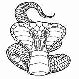 Cobra Coloring Snake Pages King Drawing Deadly Viper Realistic Color Attack Ninjago Rattlesnake Kai Kids Printable Head Serpentine Animal Drawings sketch template