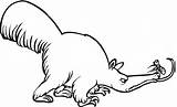 Anteater Coloring Pages Kids Sheet Animals Ant Color Print Gif Animal Back Designlooter sketch template