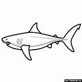 Megalodon Coloring Pages Shark Sea Life sketch template