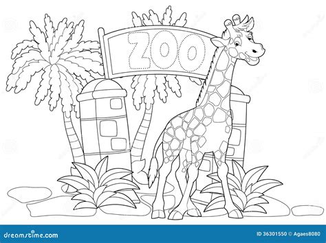 coloring page  zoo illustration   children stock photo