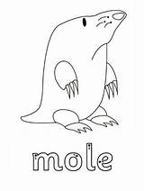 Mole Coloring Pages Cartoon Animal Print Printable Mice Another Name Gaddynippercrayons Drawing sketch template